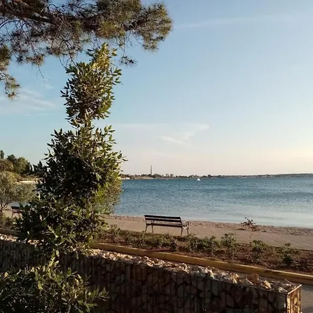 By The Sea - Mulo - Zadar - 12519