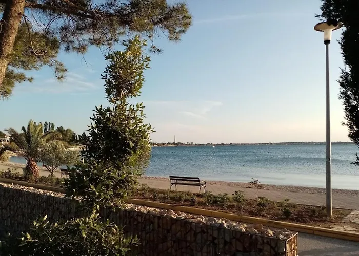 By The Sea - Mulo - Zadar - 12519
